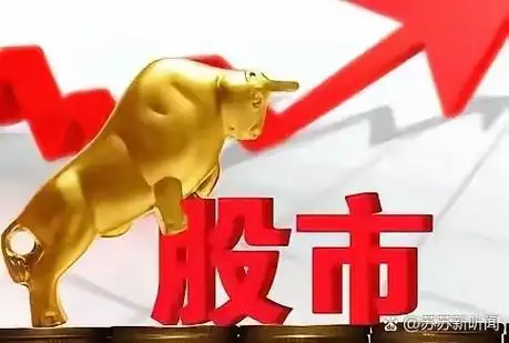 领航配资网用户头像